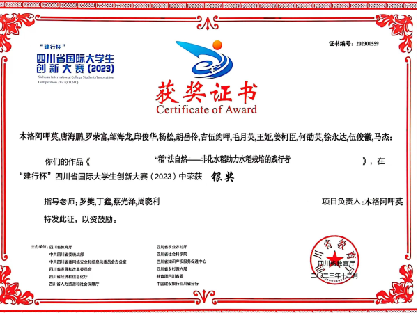 图片2 图片2