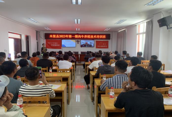 图片5 图片5