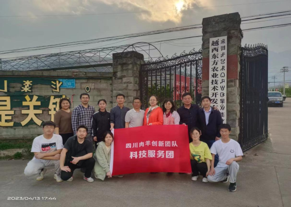图片2 图片2