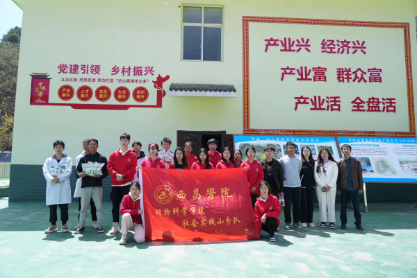 图片3 图片3