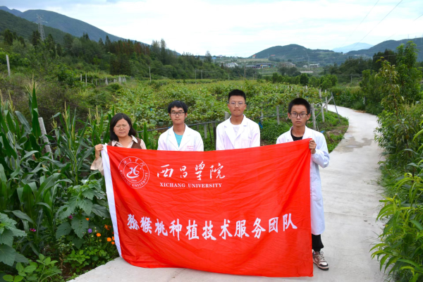 图片4 图片4