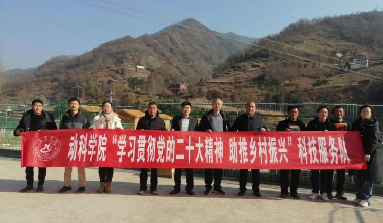 图片1 图片1