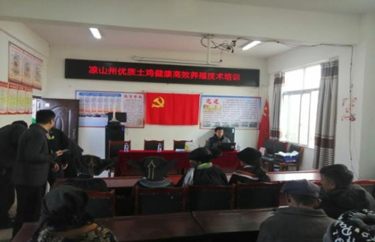 图片2 图片2