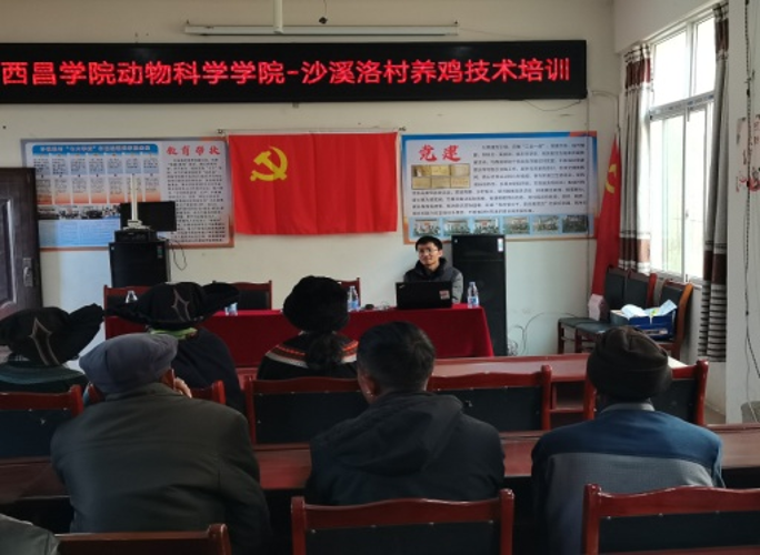 图片3 图片3