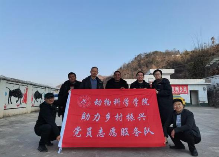 图片9 图片9