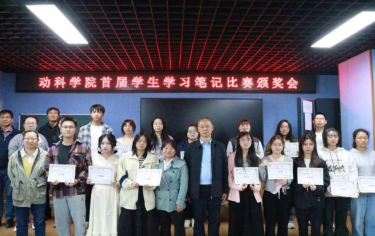 图片9